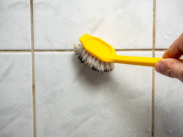 Best Black Mold Removal  in West Sand Lake, NY