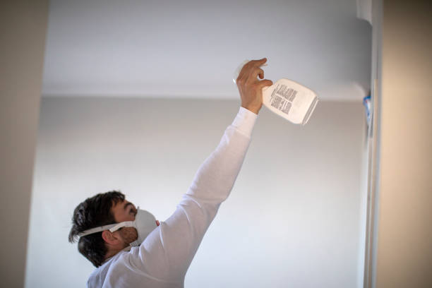 Best Toxic Mold Removal  in West Sand Lake, NY