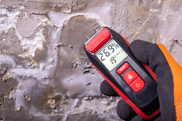 Best Attic Mold Removal  in West Sand Lake, NY