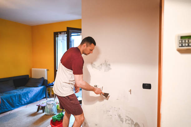 Best Commercial Mold Removal  in West Sand Lake, NY
