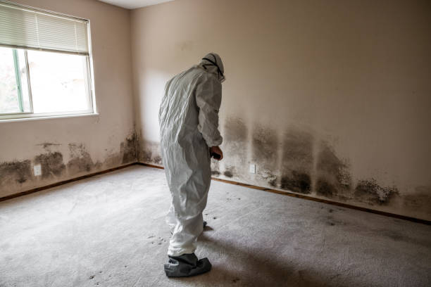 Crawl Space Mold Removal in West Sand Lake, NY